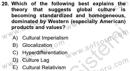 Introduction to Sociology Dersi 2025 - 2026 Yılı (Final) Dönem Sonu Sınav Soruları 20. Soru