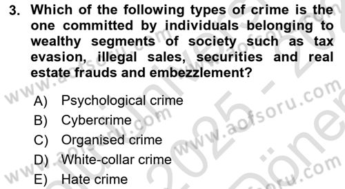 Introduction to Sociology Dersi 2025 - 2026 Yılı (Final) Dönem Sonu Sınav Soruları 3. Soru