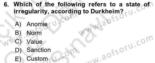 Introduction to Sociology Dersi 2025 - 2026 Yılı (Final) Dönem Sonu Sınav Soruları 6. Soru