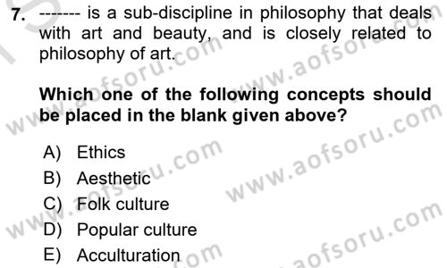 Introduction to Sociology Dersi 2025 - 2026 Yılı (Final) Dönem Sonu Sınav Soruları 7. Soru
