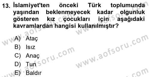 Çocukluk Sosyolojisi Dersi 2021 - 2022 Yılı (Vize) Ara Sınav Soruları 13. Soru