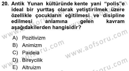 Çocukluk Sosyolojisi Dersi 2021 - 2022 Yılı (Vize) Ara Sınav Soruları 20. Soru