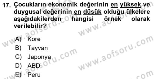 Çocukluk Sosyolojisi Dersi 2021 - 2022 Yılı (Final) Dönem Sonu Sınav Soruları 17. Soru