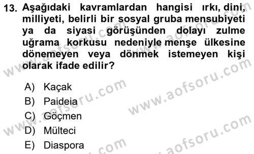 Çocukluk Sosyolojisi Dersi 2022 - 2023 Yılı Yaz Okulu Sınav Soruları 13. Soru