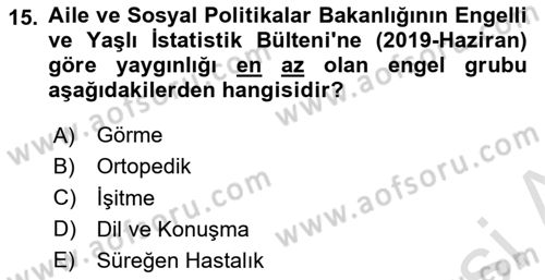 Çocukluk Sosyolojisi Dersi 2022 - 2023 Yılı Yaz Okulu Sınav Soruları 15. Soru