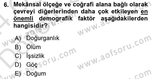 Çocukluk Sosyolojisi Dersi 2023 - 2024 Yılı (Final) Dönem Sonu Sınav Soruları 6. Soru
