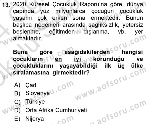 Çocukluk Sosyolojisi Dersi 2023 - 2024 Yılı Yaz Okulu Sınav Soruları 13. Soru