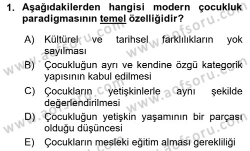 Çocukluk Sosyolojisi Dersi 2024 - 2025 Yılı (Vize) Ara Sınav Soruları 1. Soru