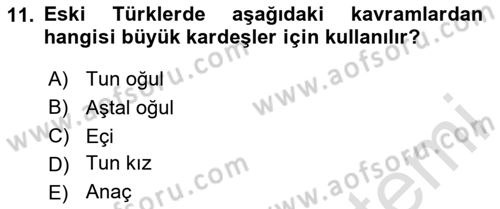 Çocukluk Sosyolojisi Dersi 2024 - 2025 Yılı (Vize) Ara Sınav Soruları 11. Soru
