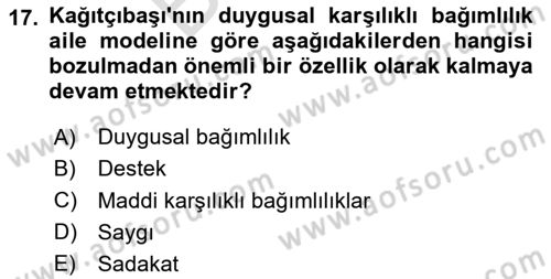 Çocukluk Sosyolojisi Dersi 2024 - 2025 Yılı (Final) Dönem Sonu Sınav Soruları 17. Soru