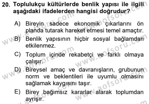 Çocukluk Sosyolojisi Dersi 2024 - 2025 Yılı (Final) Dönem Sonu Sınav Soruları 20. Soru