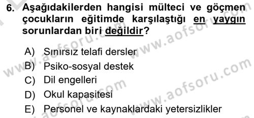 Çocukluk Sosyolojisi Dersi 2024 - 2025 Yılı (Final) Dönem Sonu Sınav Soruları 6. Soru