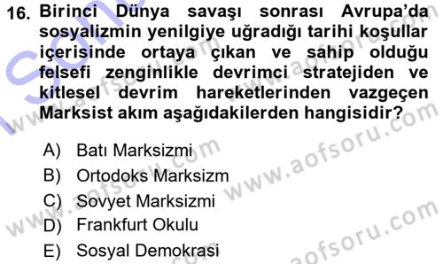 Klasik Sosyoloji Tarihi Dersi 2015 - 2016 Yılı (Final) Dönem Sonu Sınav Soruları 16. Soru