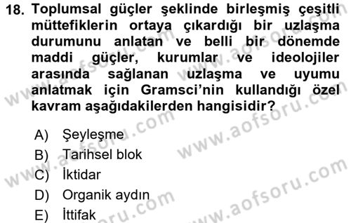 Klasik Sosyoloji Tarihi Dersi 2015 - 2016 Yılı (Final) Dönem Sonu Sınav Soruları 18. Soru