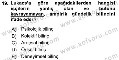 Klasik Sosyoloji Tarihi Dersi 2015 - 2016 Yılı (Final) Dönem Sonu Sınav Soruları 19. Soru
