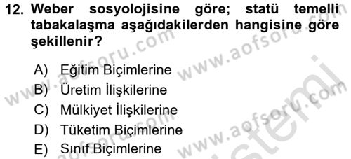 Klasik Sosyoloji Tarihi Dersi 2018 - 2019 Yılı 3 Ders Sınavı 12. Soru