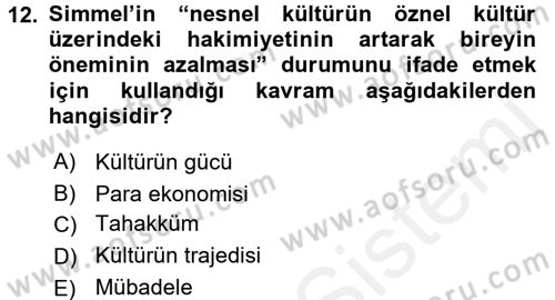 Klasik Sosyoloji Tarihi Dersi 2018 - 2019 Yılı (Final) Dönem Sonu Sınavı 12. Soru