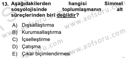 Klasik Sosyoloji Tarihi Dersi 2022 - 2023 Yılı (Final) Dönem Sonu Sınav Soruları 13. Soru