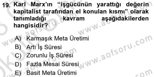 Klasik Sosyoloji Tarihi Dersi Yaz Okulu Sınavı Deneme Sınav Soruları 19. Soru