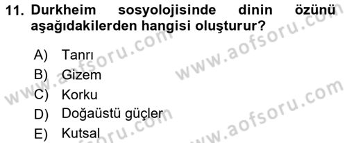Klasik Sosyoloji Tarihi Dersi 2024 - 2025 Yılı (Vize) Ara Sınav Soruları 11. Soru