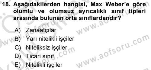 Klasik Sosyoloji Tarihi Dersi 2024 - 2025 Yılı Yaz Okulu Sınav Soruları 18. Soru
