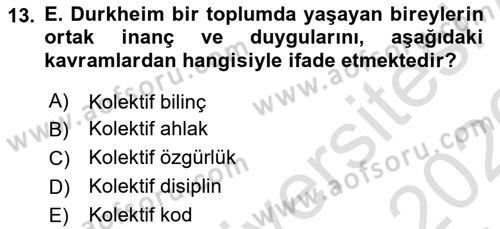 Klasik Sosyoloji Tarihi Dersi 2025 - 2026 Yılı (Vize) Ara Sınav Soruları 13. Soru