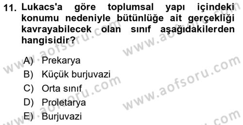 Klasik Sosyoloji Tarihi Dersi 2025 - 2026 Yılı (Final) Dönem Sonu Sınav Soruları 11. Soru