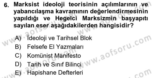Klasik Sosyoloji Tarihi Dersi 2025 - 2026 Yılı (Final) Dönem Sonu Sınav Soruları 6. Soru