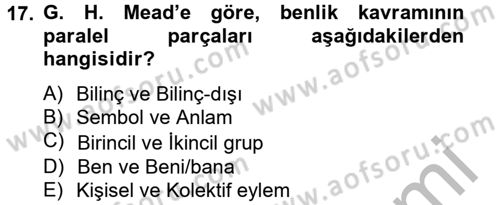Modern Sosyoloji Tarihi Dersi 2012 - 2013 Yılı (Vize) Ara Sınav Soruları 17. Soru