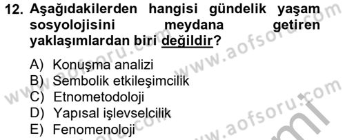 Modern Sosyoloji Tarihi Dersi 2012 - 2013 Yılı (Final) Dönem Sonu Sınav Soruları 12. Soru