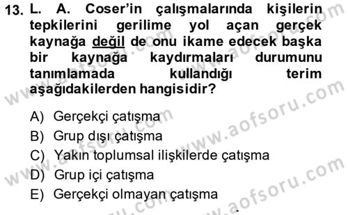 Modern Sosyoloji Tarihi Dersi 2013 - 2014 Yılı (Vize) Ara Sınav Soruları 13. Soru