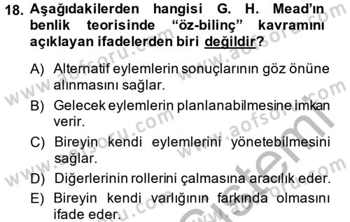 Modern Sosyoloji Tarihi Dersi 2013 - 2014 Yılı (Vize) Ara Sınav Soruları 18. Soru