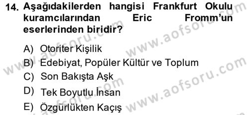Modern Sosyoloji Tarihi Dersi 2013 - 2014 Yılı (Final) Dönem Sonu Sınav Soruları 14. Soru