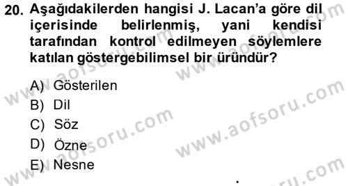 Modern Sosyoloji Tarihi Dersi 2013 - 2014 Yılı (Final) Dönem Sonu Sınav Soruları 20. Soru