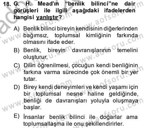 Modern Sosyoloji Tarihi Dersi 2014 - 2015 Yılı (Vize) Ara Sınav Soruları 18. Soru