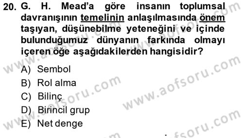 Modern Sosyoloji Tarihi Dersi 2014 - 2015 Yılı (Vize) Ara Sınav Soruları 20. Soru