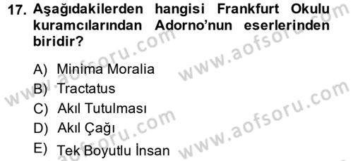 Modern Sosyoloji Tarihi Dersi 2014 - 2015 Yılı (Final) Dönem Sonu Sınav Soruları 17. Soru