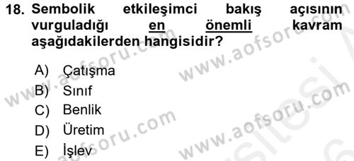 Modern Sosyoloji Tarihi Dersi 2015 - 2016 Yılı (Vize) Ara Sınav Soruları 18. Soru