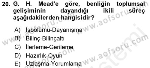 Modern Sosyoloji Tarihi Dersi 2015 - 2016 Yılı (Vize) Ara Sınav Soruları 20. Soru