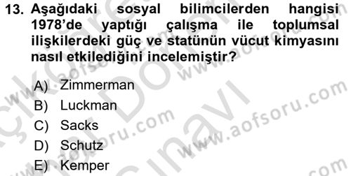 Modern Sosyoloji Tarihi Dersi 2016 - 2017 Yılı (Final) Dönem Sonu Sınav Soruları 13. Soru