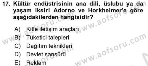Modern Sosyoloji Tarihi Dersi 2016 - 2017 Yılı (Final) Dönem Sonu Sınav Soruları 17. Soru