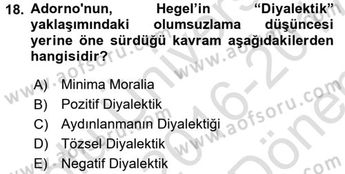 Modern Sosyoloji Tarihi Dersi 2016 - 2017 Yılı (Final) Dönem Sonu Sınav Soruları 18. Soru