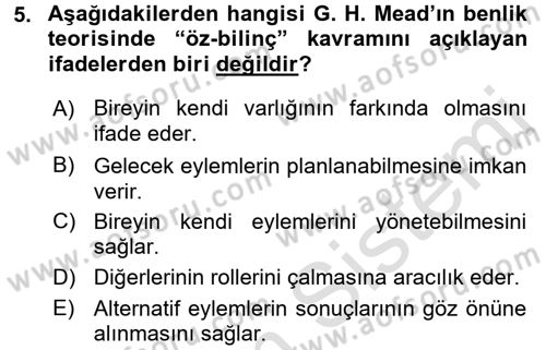 Modern Sosyoloji Tarihi Dersi 2016 - 2017 Yılı (Final) Dönem Sonu Sınav Soruları 5. Soru