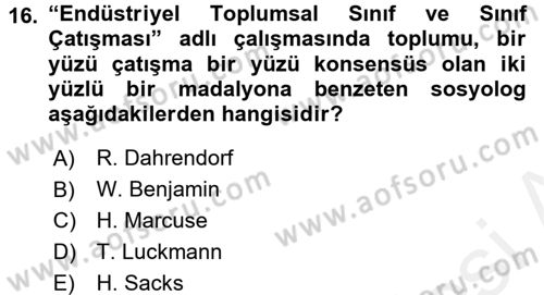 Modern Sosyoloji Tarihi Dersi 2017 - 2018 Yılı (Final) Dönem Sonu Sınav Soruları 16. Soru