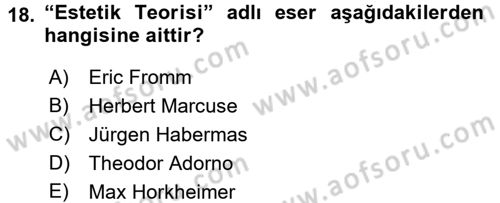Modern Sosyoloji Tarihi Dersi 2017 - 2018 Yılı (Final) Dönem Sonu Sınav Soruları 18. Soru