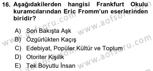 Modern Sosyoloji Tarihi Dersi 2018 - 2019 Yılı 3 Ders Sınav Soruları 16. Soru