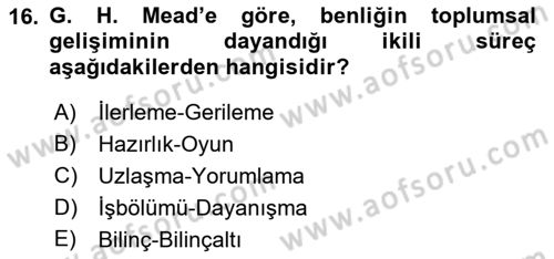 Modern Sosyoloji Tarihi Dersi 2018 - 2019 Yılı (Vize) Ara Sınav Soruları 16. Soru