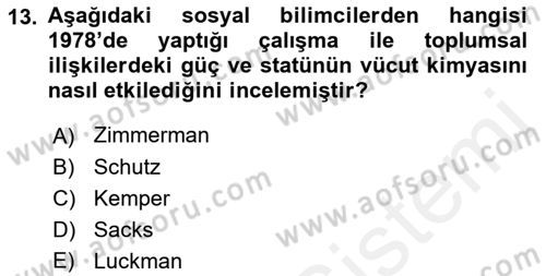 Modern Sosyoloji Tarihi Dersi 2018 - 2019 Yılı (Final) Dönem Sonu Sınav Soruları 13. Soru