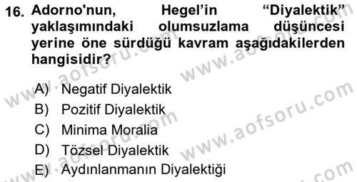 Modern Sosyoloji Tarihi Dersi 2018 - 2019 Yılı (Final) Dönem Sonu Sınav Soruları 16. Soru