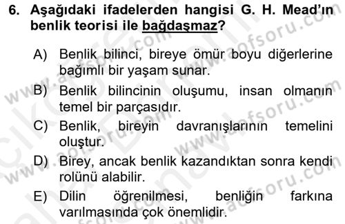 Modern Sosyoloji Tarihi Dersi 2018 - 2019 Yılı (Final) Dönem Sonu Sınav Soruları 6. Soru